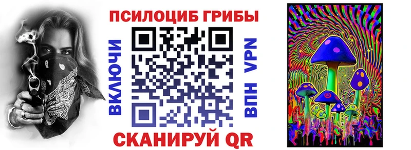 Купить  Ухта  Псилоцибиновые грибы Psilocybine cubensis 